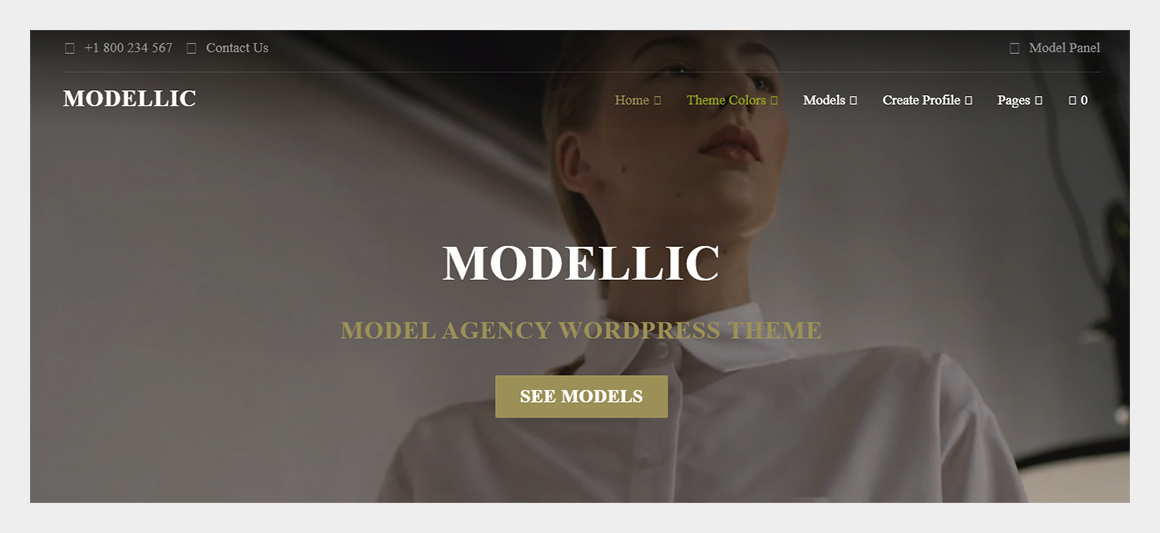 Modellic